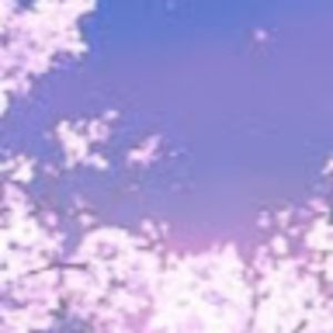 Meet your Posher, Sophia